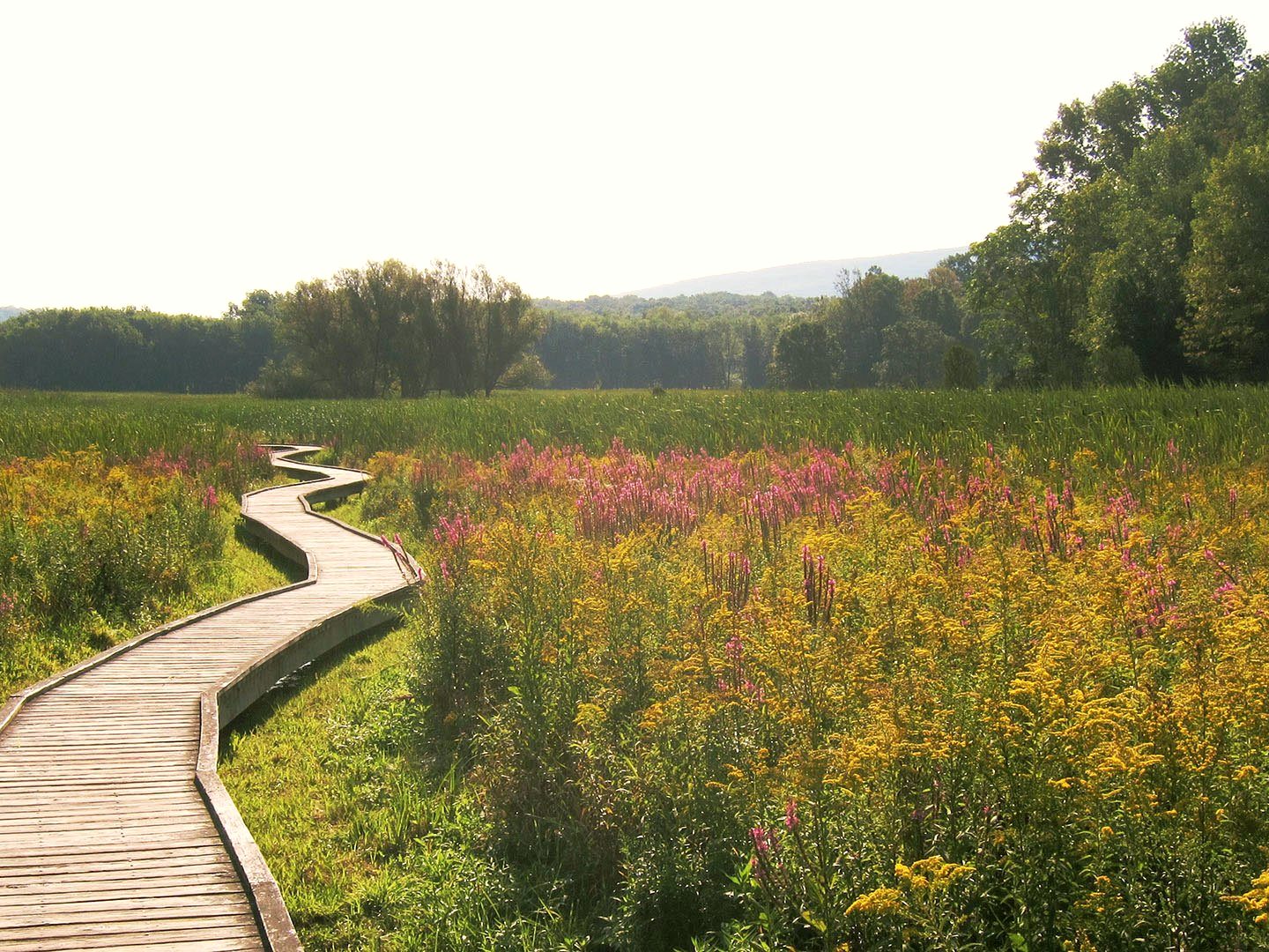 Appalachian Trail — Stairway to Heaven + Pochuck Boardwalk